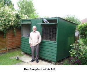 ron-loft