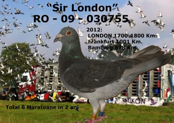 londra