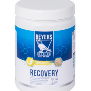 RECOVERY PLUS 600gr - recuperare zboruri -