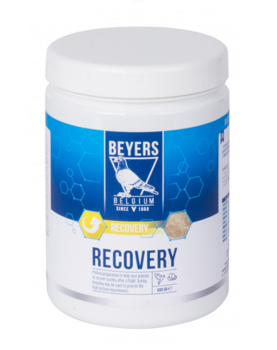 RECOVERY PLUS 600gr - recuperare zboruri -