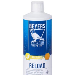 RELOAD 1L - aminoacizi + electroliti -