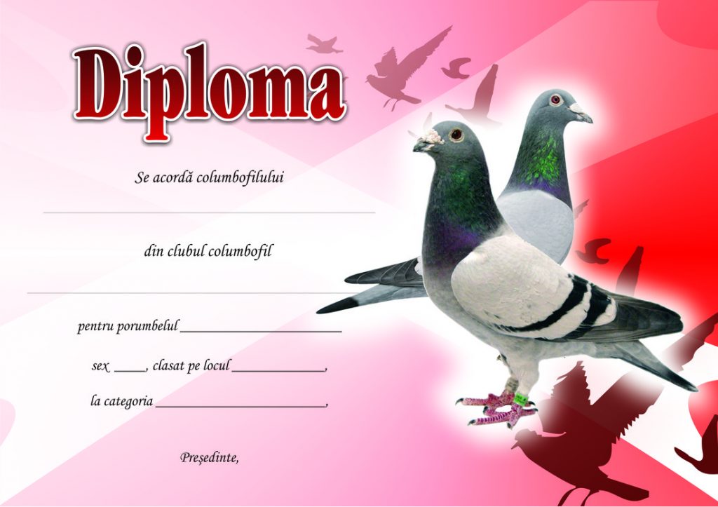 De vanzare - Diplome pentru premierea columbofililor si porumbeilor 2020