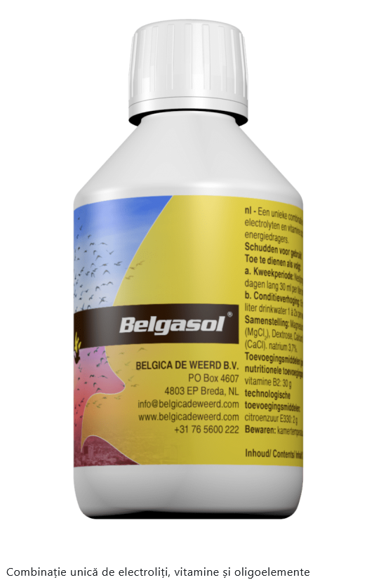 BELGASOL ,BELGICA DE WEERD, 250 ML, VITAMINE ȘI ELECTROLIȚI