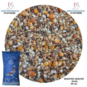 Maestro Vaduvie PIGO 20 Kg