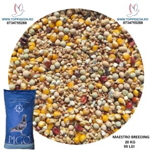 Maestro Breeding PIGO 20 Kg