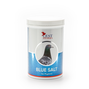Blue Salt - 1000g