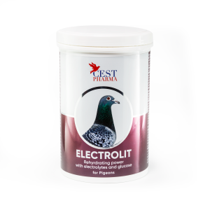 Electrolit - 600g