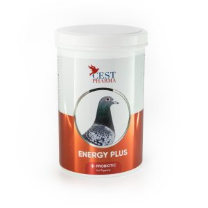Energy Plus - 600g