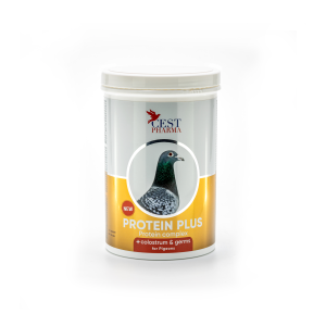 Protein Plus - 600g