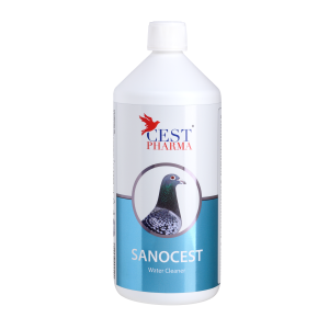 Sanocest - 1000ml
