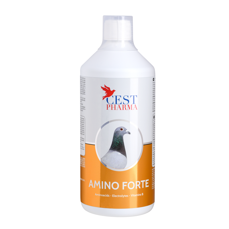Amino Forte - 1000ml